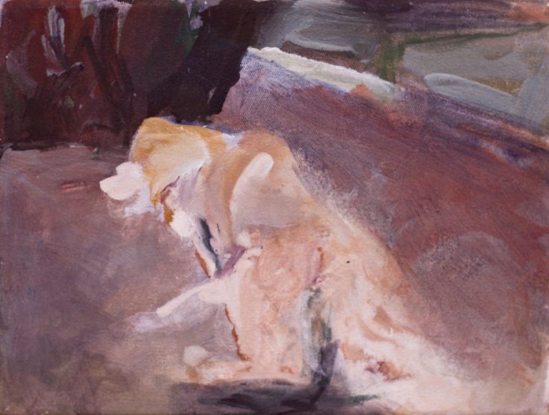 Hundewiese, 30 x 40 cm, 2012