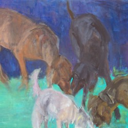 Hundewiese I, 70 x 90 cm, 2011