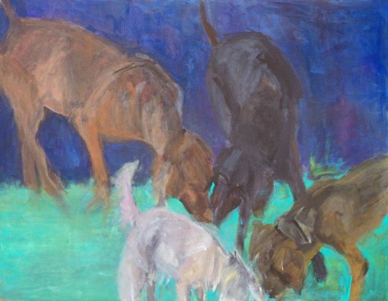 Hundewiese I, 70 x 90 cm, 2011